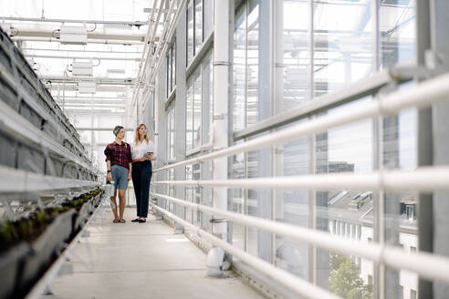 Gardener and businesswoman standing in greenhouse of a gardening shop - JOSEF00699