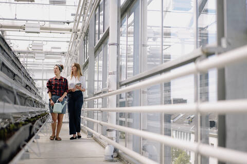 Gardener and businesswoman standing in greenhouse of a gardening shop stock photo