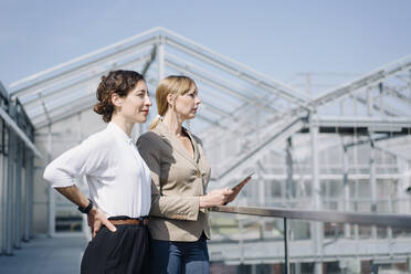 Two businesswomen with tablet having a meeting at a greenhouse - JOSEF00703
