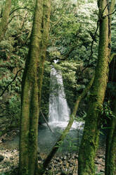 Waterfall on Sao Miguel Island, Azores, Portugal - AFVF06286