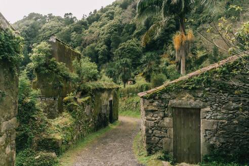 Pfad mit verlassenen Steinhäusern auf der Insel Sao Miguel, Azoren, Portugal - AFVF06297