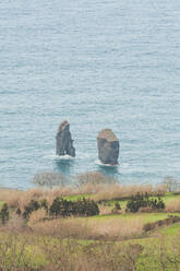 Felsformationen im Atlantischen Ozean, Insel Sao Miguel, Azoren, Portugal - FVSF00290