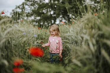 Happy little girl standing in poppy field - VBF00061