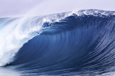 Perfekte Welle in Papeete Tahiti - CAVF81542
