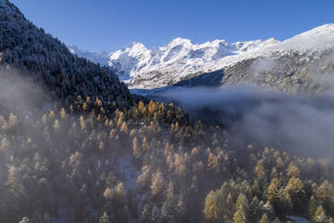 Schweiz, Kanton Graubünden, St. Moritz, Drohnenaufnahme von Nebel über dem bewaldeten Tal des Morteratschgletschers im Herbst - RUEF02931