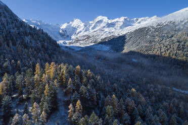 Switzerland, Canton of Grisons, Saint Moritz, Drone view of fog floating over forested valley of Morteratsch Glacier in autumn - RUEF02932