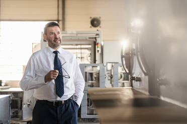 Portrait of a confident mature businessman in a factory - DIGF11089