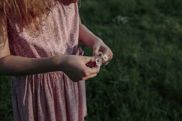 Girl's hands holding daisy flowers - OGF00419