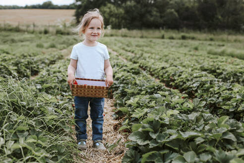 Mädchen pflückt reife Erdbeeren auf einem Feld - VBF00076