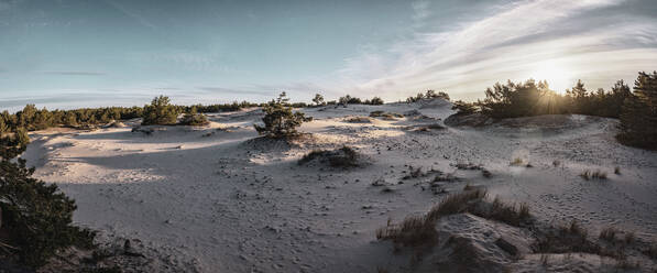 Polen, Pommern, Leba, Sanddüne im Slowinski-Nationalpark bei Sonnenuntergang - HAMF00611