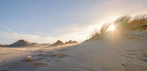 Polen, Pommern, Leba, Sanddüne im Slowinski-Nationalpark bei Sonnenuntergang - HAMF00613