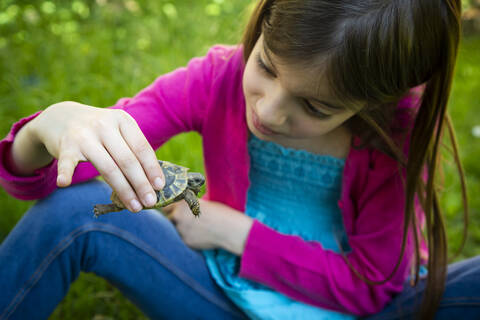 Girl sitting on a meadow holding small tortoise stock photo