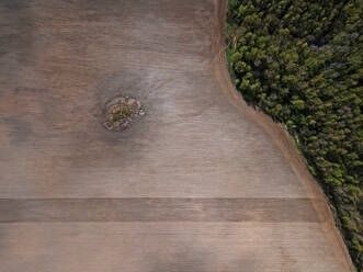 Russia, Aerial view of brown plowed field - KNTF04652