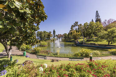 Portugal, Madeira Insel, Funchal, Teich mit Springbrunnen im Santa Catarina Park, Parque de Santa Catarina - WDF05997