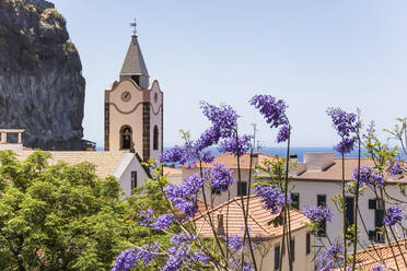 Portugal, Insel Madeira, Ribeira Brava, Ponta do Sol, Glockenturm mit lila Blumen im Vordergrund - WDF06001