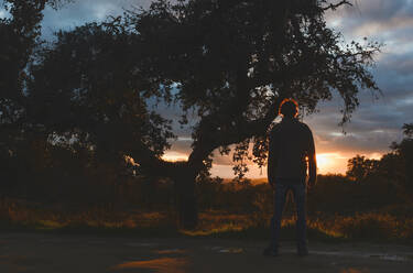 Silhouette junger Mann auf der Straße im Park bei Sonnenuntergang - FVSF00359