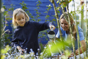 Mother and daughter watering flowers in allotment garden - MCF00820