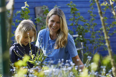 Portrait of happy mother with daughter in allotment garden - MCF00821