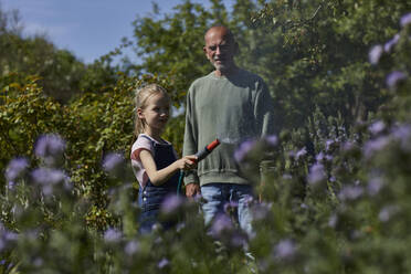 Großvater und Enkelin gießen Blumen im Kleingarten - MCF00864