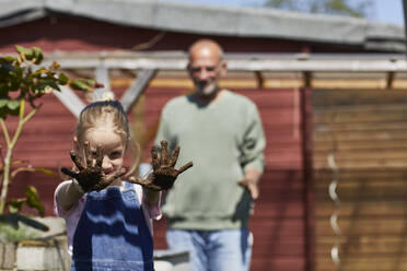 Porträt eines Mädchens mit Großvater im Schrebergarten, das ihre schmutzigen Hände zeigt - MCF00872