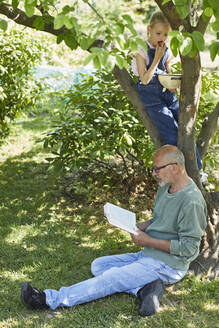 Entspannter Großvater und Enkelin im Garten, die ein Buch lesen und Erdbeeren essen - MCF00880