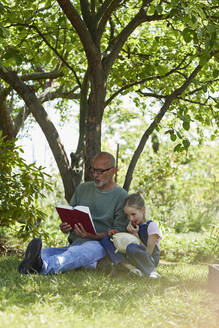 Entspannter Großvater und Enkelin im Garten, die ein Buch lesen und Erdbeeren essen - MCF00881