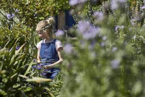 Girl wearing daisy flower wreath in allotment garden - MCF00884