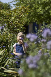 Mädchen mit Gänseblümchenkranz im Kleingarten, das an der Blume riecht - MCF00885