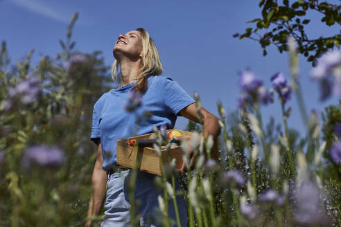 Smiling woman holding a crate in allotment garden - MCF00892