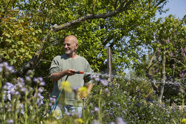 Älterer Mann gießt Blumen im Kleingarten - MCF00907