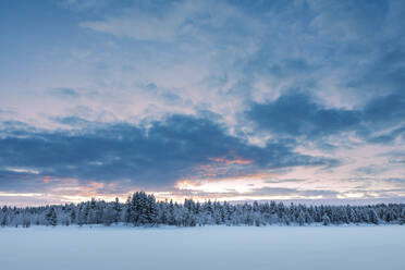 Winterlandschaft mit Bäumen, Hetta, Enontekioe, Finnland - WVF01547