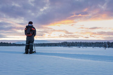 Rückansicht eines Schneeschuhwanderers in Winterlandschaft, Sotkajarvi, Enontekioe, Finnland - WVF01551