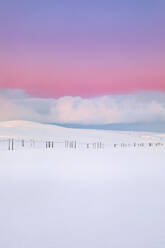 Power pylons in winter landscape, Tana, Norway - WVF01586