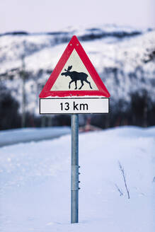 Straßenschild mit Elchüberquerung im Winter, Lebesby, Norwegen - WVF01631