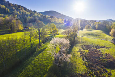 Deutschland, Bayern, Gaissach, Sonnenschein über der Sonntratn im Frühling - SIEF09845