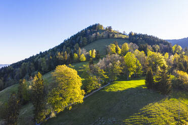 Germany, Bavaria, Gaissach, Drone view of Sonntratn mountain in spring - SIEF09846