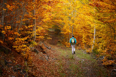 Frau, die einen Weg in einem schönen Herbstwald entlanggeht - CAVF82069