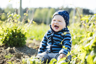 Cheerful baby boy sitting on hops field during sunny day - MAEF12994