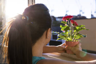 Woman placing potted flowers on windowsill - WPEF02922