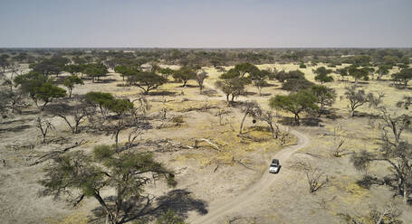 Luftaufnahme eines Geländewagens inmitten von Bäumen in einer halbtrockenen Wüste bei klarem Himmel - VEGF02307