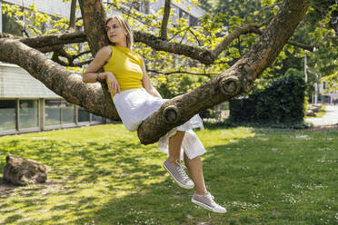 Frau sitzt in einem Baum in einem Park - MFF05700