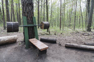 Hölzerne Trainingsgeräte im Wald - AHSF02650