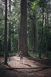 Frau steht und schaut zu Douglas im Wald von Macmillan auf - CAVF82225