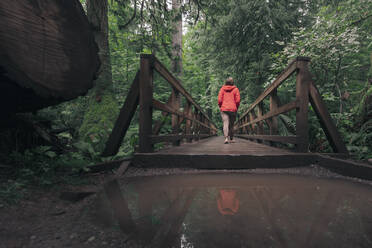 Frau beim Überqueren einer Holzbrücke neben einer Pfütze im Douglasienwald - CAVF82226