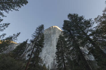 El Capitan im Yosemite bei Sonnenaufgang von El Cap Meadow im Herbst - CAVF82231