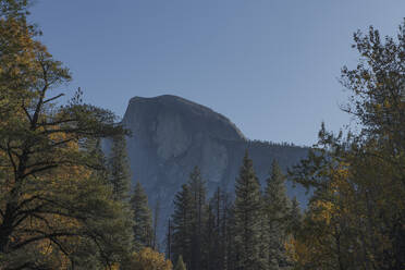 Half Dome vom Boden des Yosemite Valley im Herbst mit Wald - CAVF82232