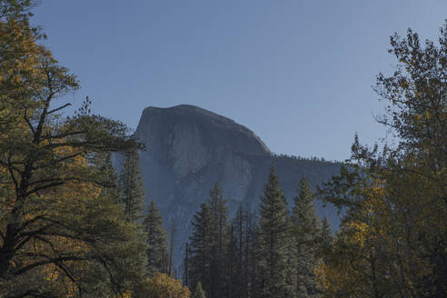 Half Dome vom Boden des Yosemite Valley im Herbst mit Wald - CAVF82232