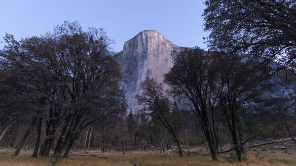 El Capitan im Yosemite bei Sonnenaufgang von El Cap Meadow im Herbst - CAVF82235