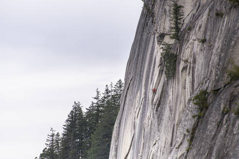 Mann beim Klettern einer Mehrseillängen-Route am Chief Squamish - CAVF82314