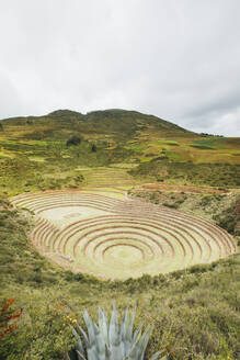 Der berühmte peruanische Fleck Moray in Peru - CAVF82393